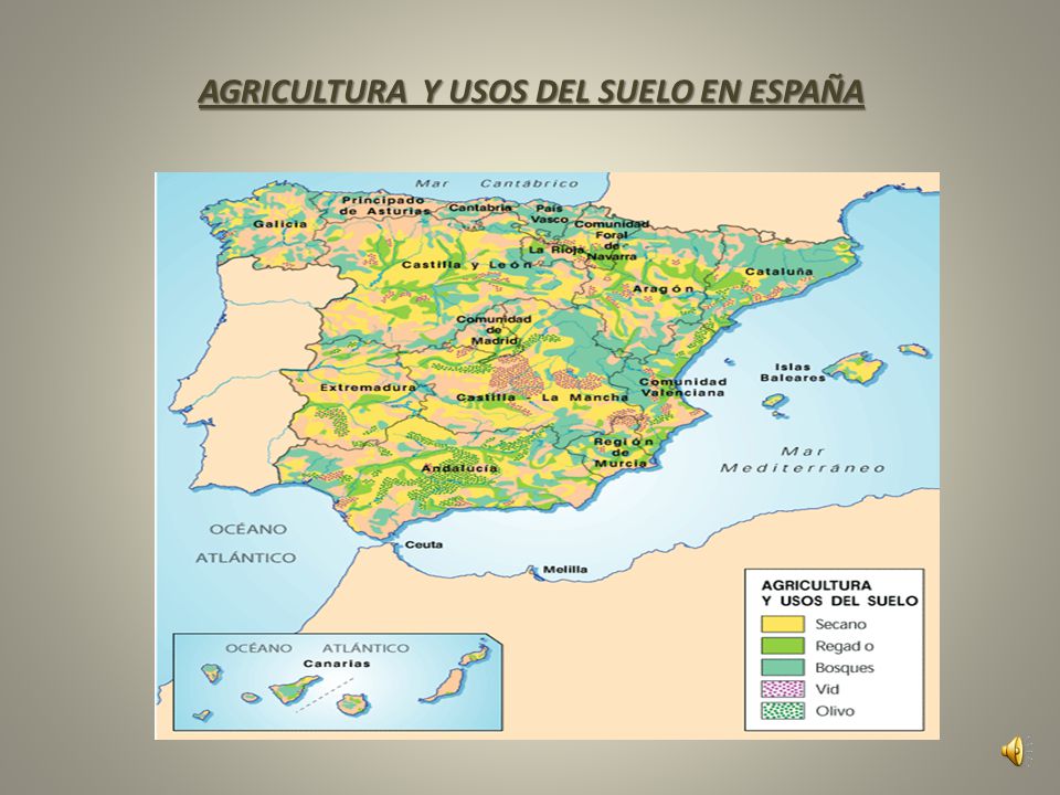 AGRICULTURA Y USOS DEL SUELO EN ESPAÑA