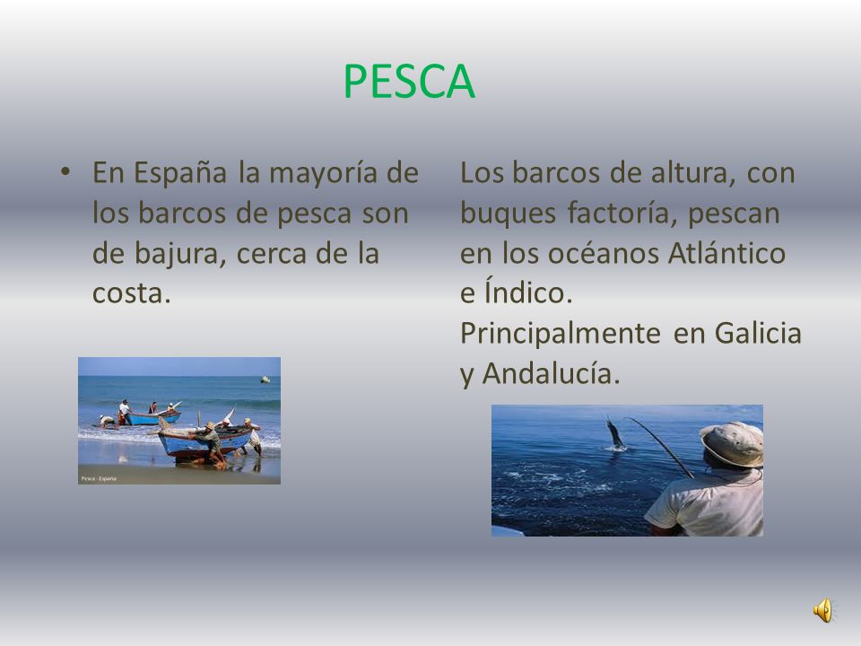 PESCA En España la mayoría de los barcos de pesca son de bajura, cerca de la costa.