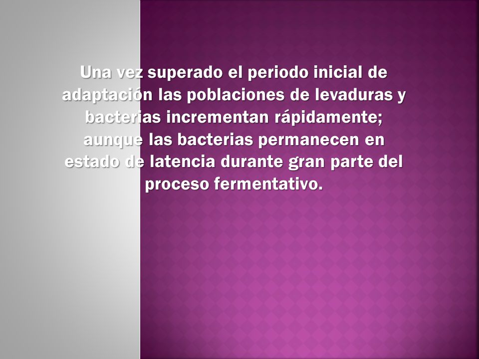 Una vez superado el periodo inicial de adaptación las poblaciones de levaduras y bacterias incrementan rápidamente; aunque las bacterias permanecen en estado de latencia durante gran parte del proceso fermentativo.