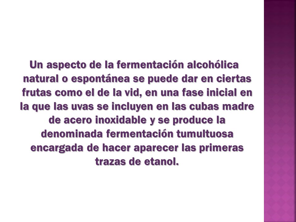 Un aspecto de la fermentación alcohólica natural o espontánea se puede dar en ciertas frutas como el de la vid, en una fase inicial en la que las uvas se incluyen en las cubas madre de acero inoxidable y se produce la denominada fermentación tumultuosa encargada de hacer aparecer las primeras trazas de etanol.