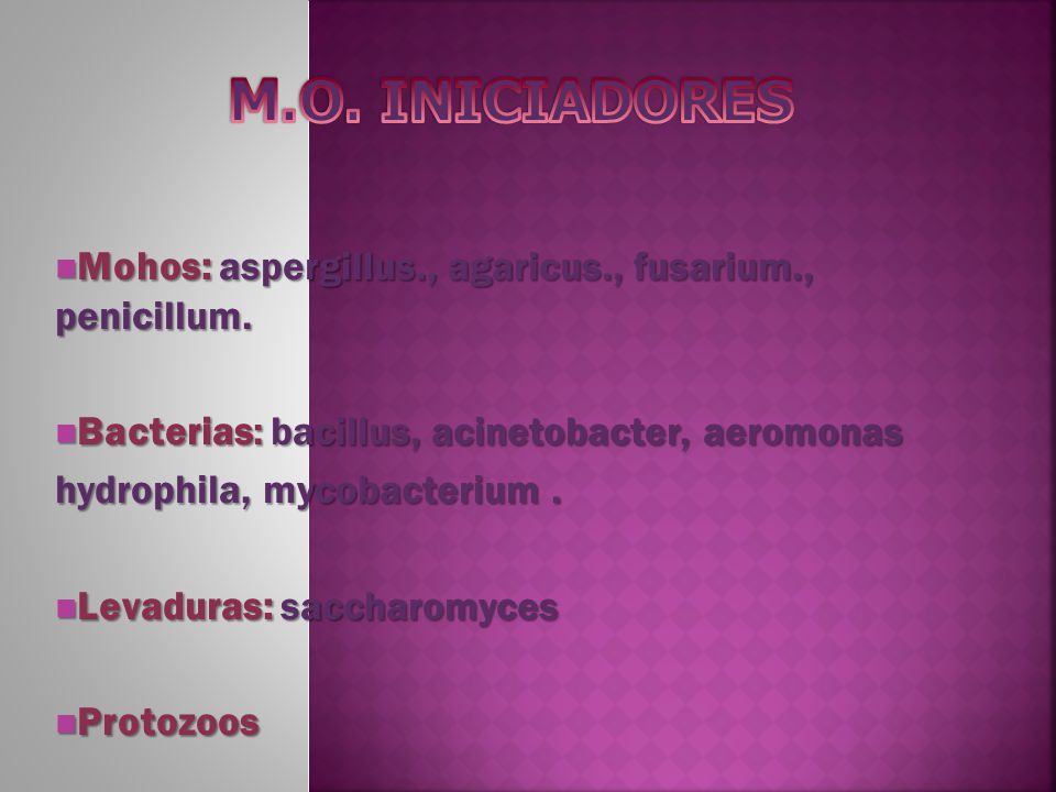 M.O. INICIADORES Mohos: aspergillus., agaricus., fusarium., penicillum. Bacterias: bacillus, acinetobacter, aeromonas.