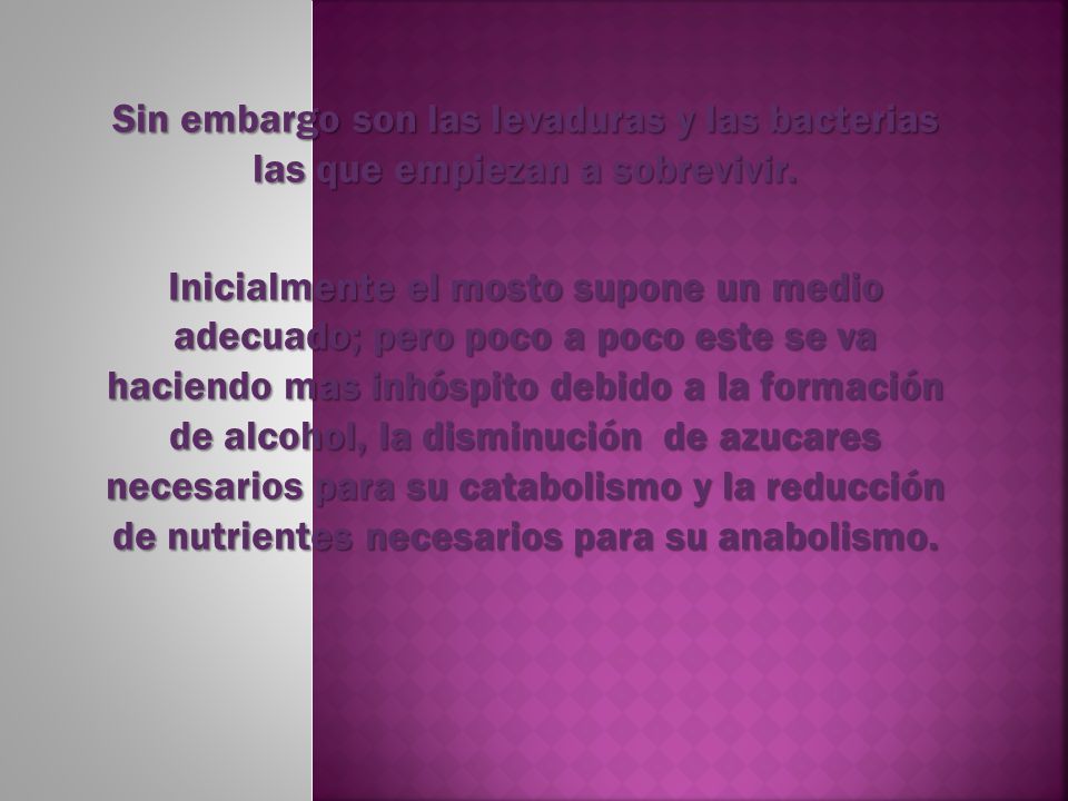 Sin embargo son las levaduras y las bacterias las que empiezan a sobrevivir.