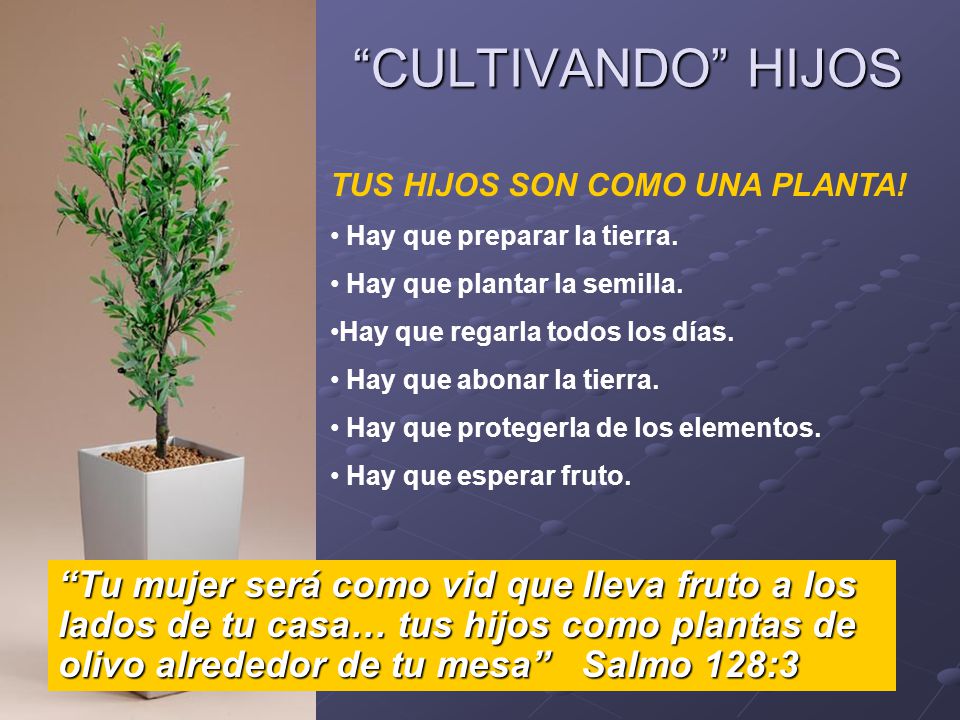 CULTIVANDO HIJOS TUS HIJOS SON COMO UNA PLANTA! Hay que preparar la tierra. Hay que plantar la semilla.