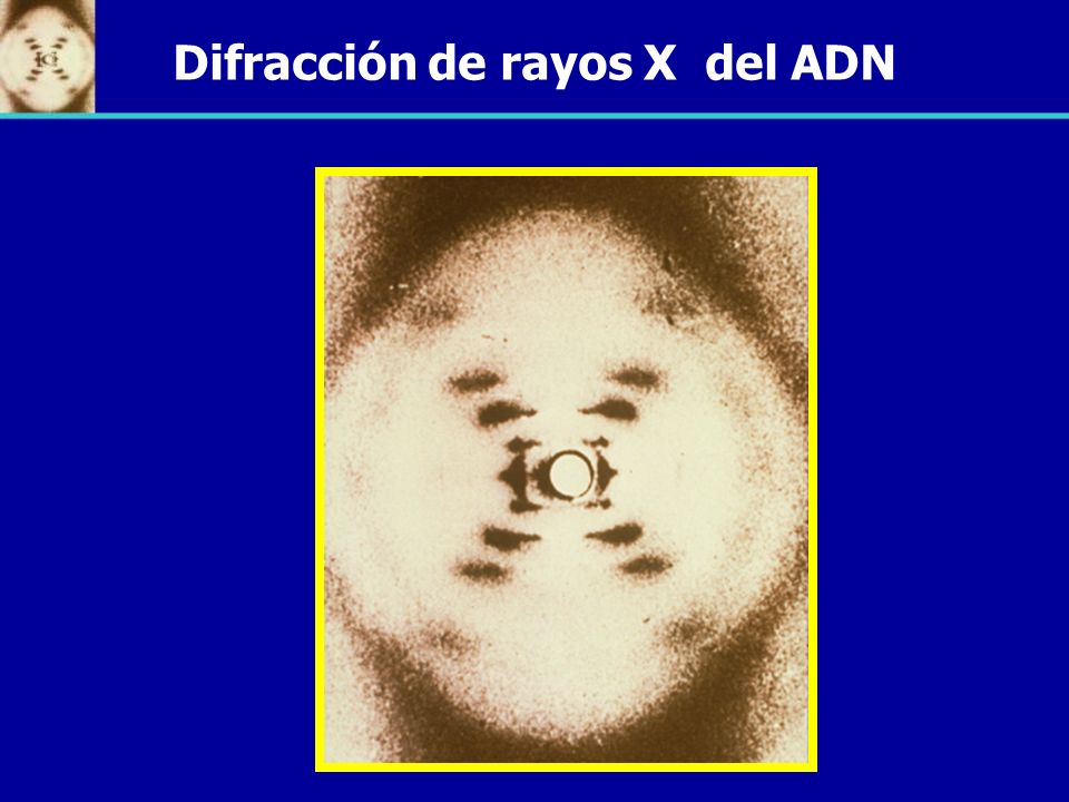 Difracción de rayos X del ADN