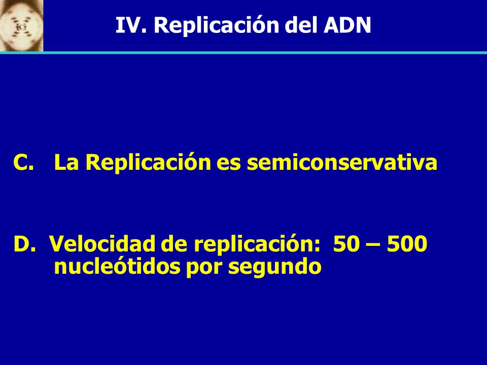 IV. Replicación del ADN La Replicación es semiconservativa.