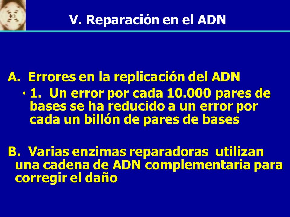 V. Reparación en el ADN A. Errores en la replicación del ADN.