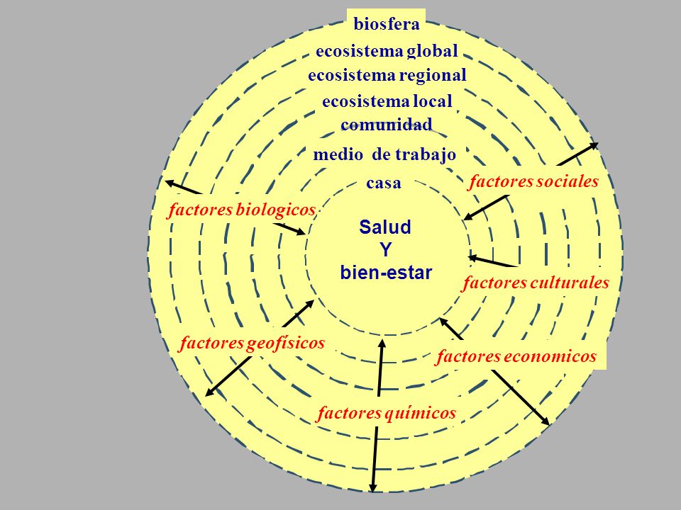 biosfera ecosistema global. ecosistema regional. ecosistema local. comunidad. medio de trabajo.