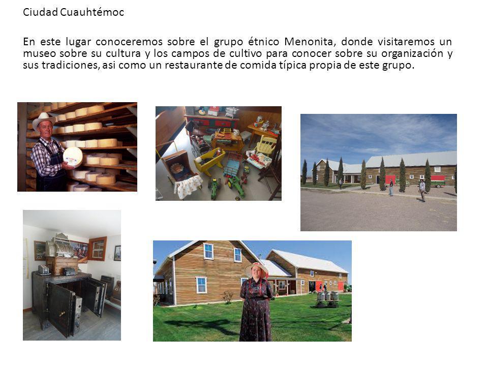 Ciudad Cuauhtémoc En este lugar conoceremos sobre el grupo étnico Menonita, donde visitaremos un museo sobre su cultura y los campos de cultivo para conocer sobre su organización y sus tradiciones, asi como un restaurante de comida típica propia de este grupo.