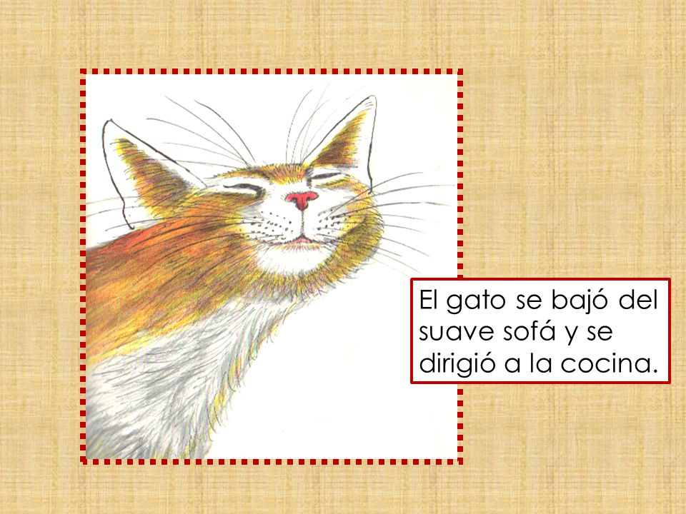 El gato se bajó del suave sofá y se dirigió a la cocina.