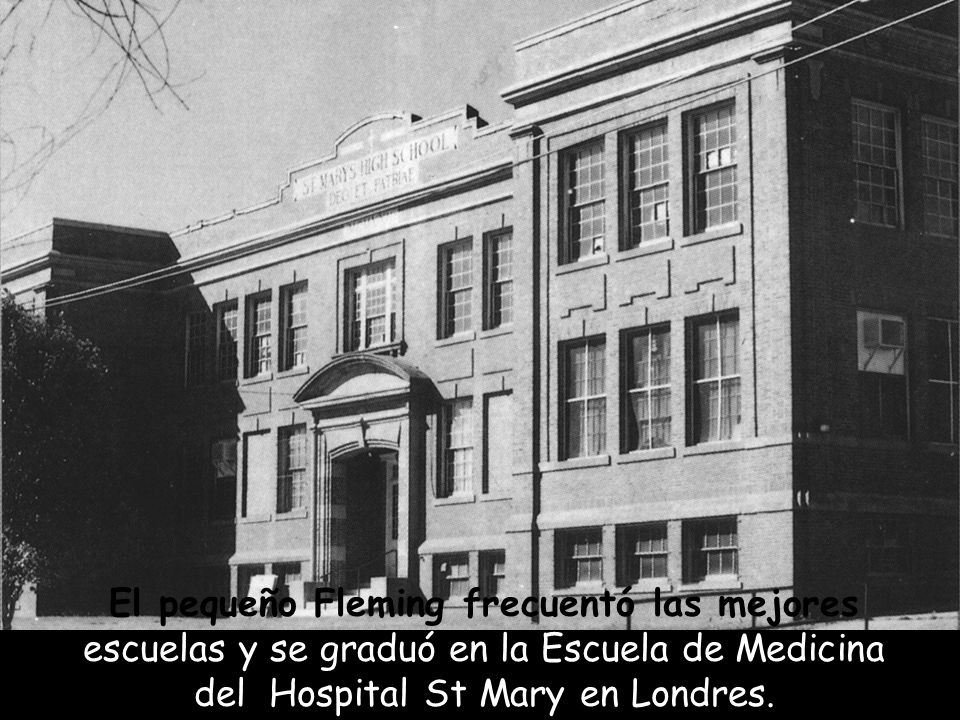 El pequeño Fleming frecuentó las mejores escuelas y se graduó en la Escuela de Medicina del Hospital St Mary en Londres.
