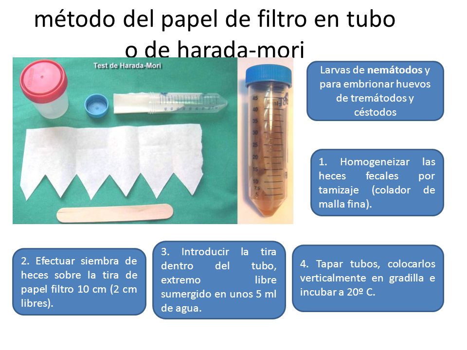 método del papel de filtro en tubo o de harada-mori