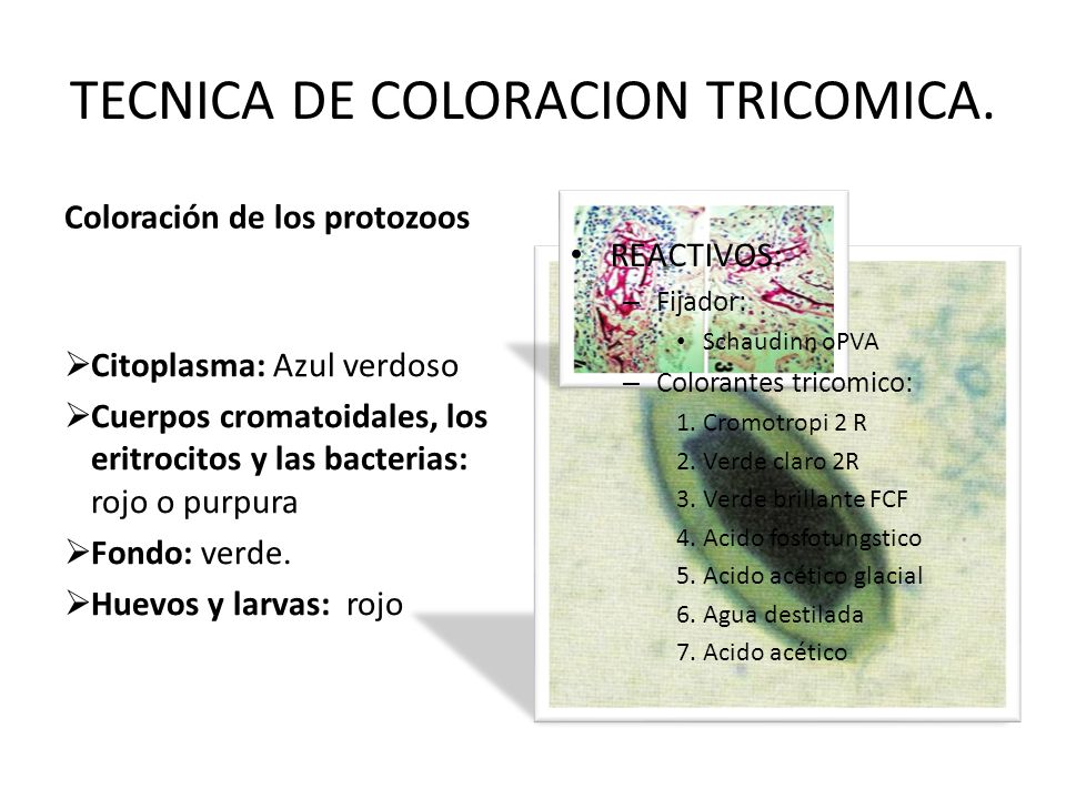 TECNICA DE COLORACION TRICOMICA.