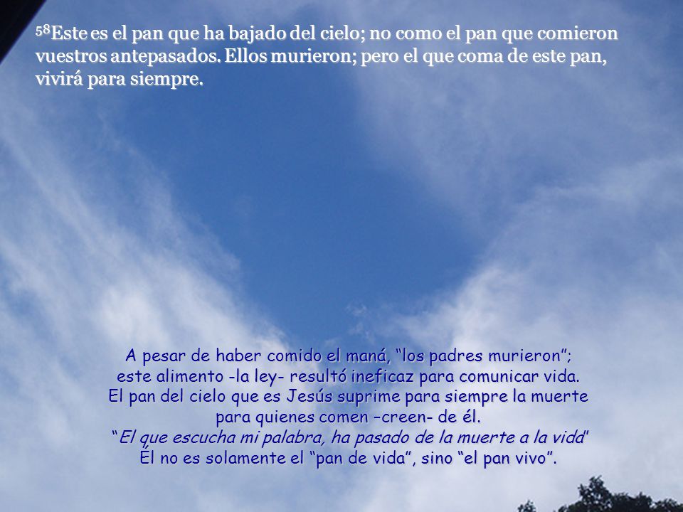 Él no es solamente el pan de vida , sino el pan vivo .