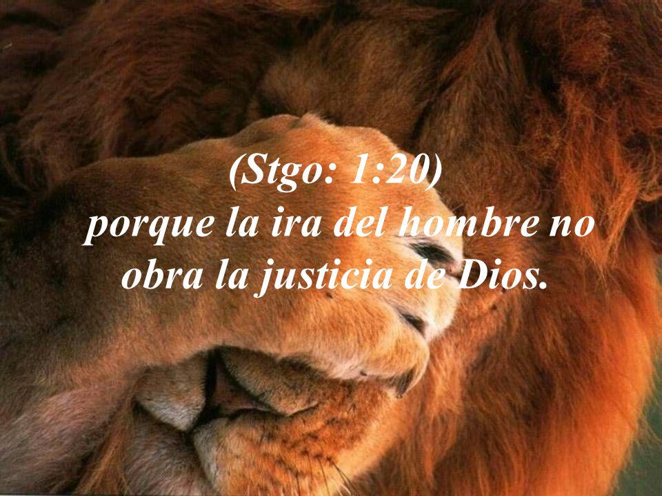 porque la ira del hombre no obra la justicia de Dios.