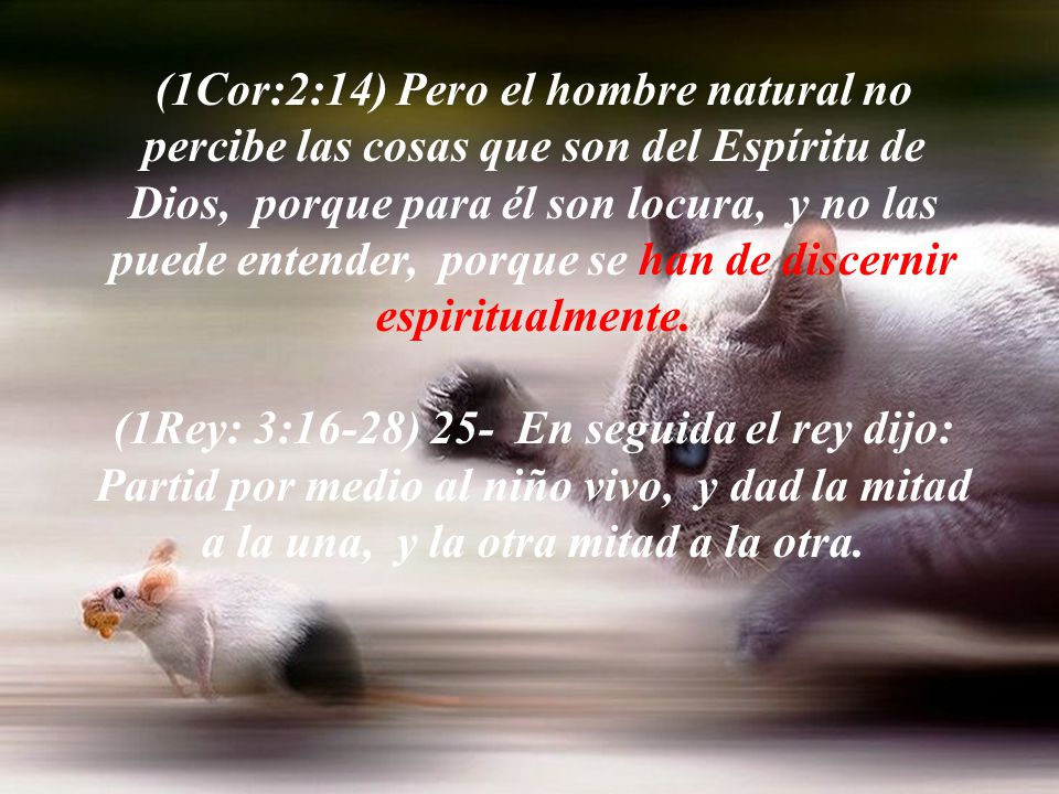 (1Cor:2:14) Pero el hombre natural no percibe las cosas que son del Espíritu de Dios, porque para él son locura, y no las puede entender, porque se han de discernir espiritualmente.