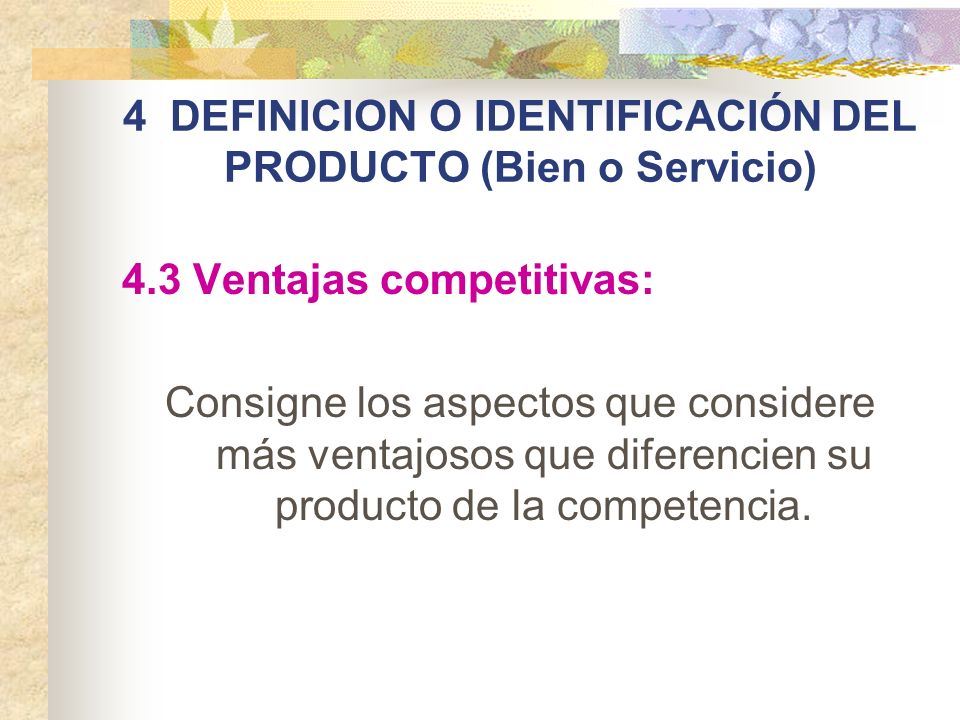 4 DEFINICION O IDENTIFICACIÓN DEL PRODUCTO (Bien o Servicio)