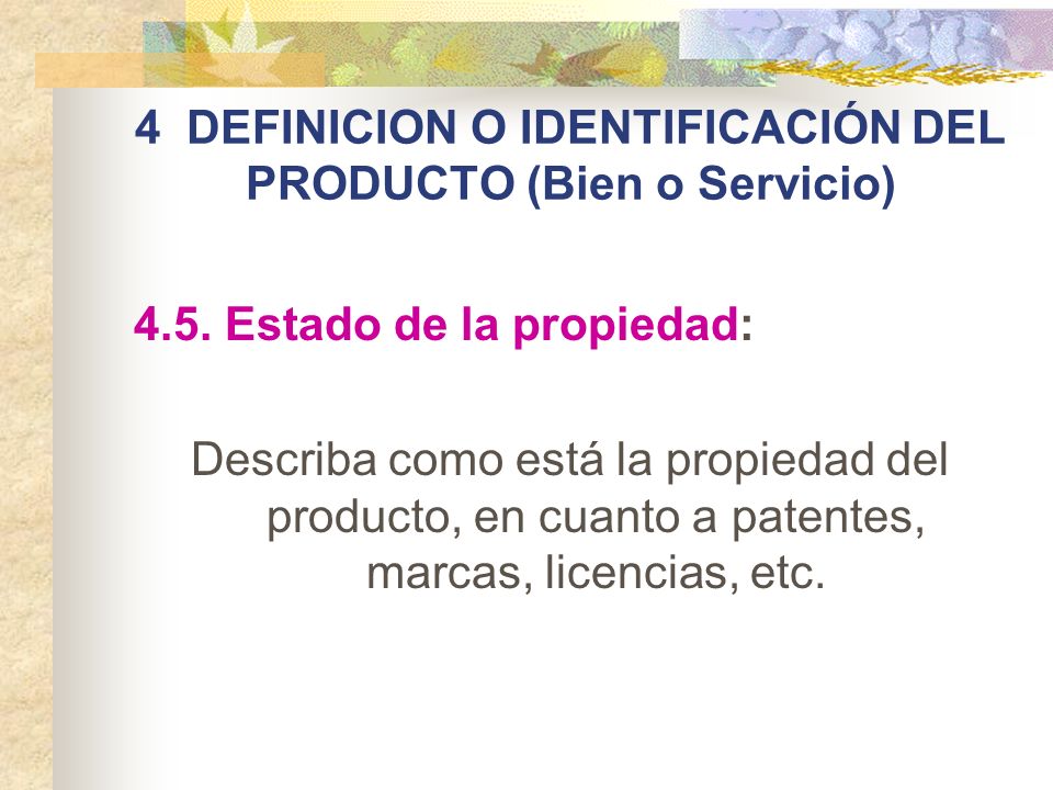 4 DEFINICION O IDENTIFICACIÓN DEL PRODUCTO (Bien o Servicio)