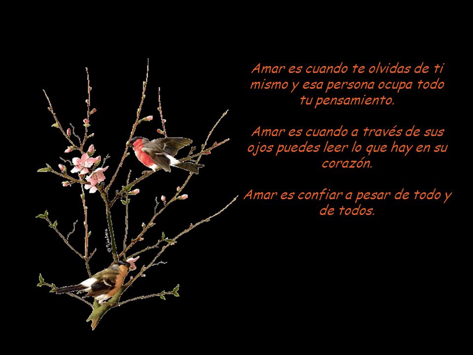 Amar es confiar a pesar de todo y de todos.