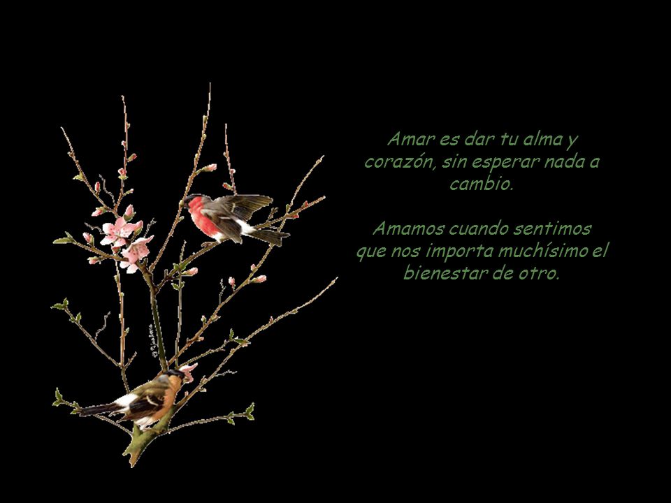 Amar es dar tu alma y corazón, sin esperar nada a cambio.
