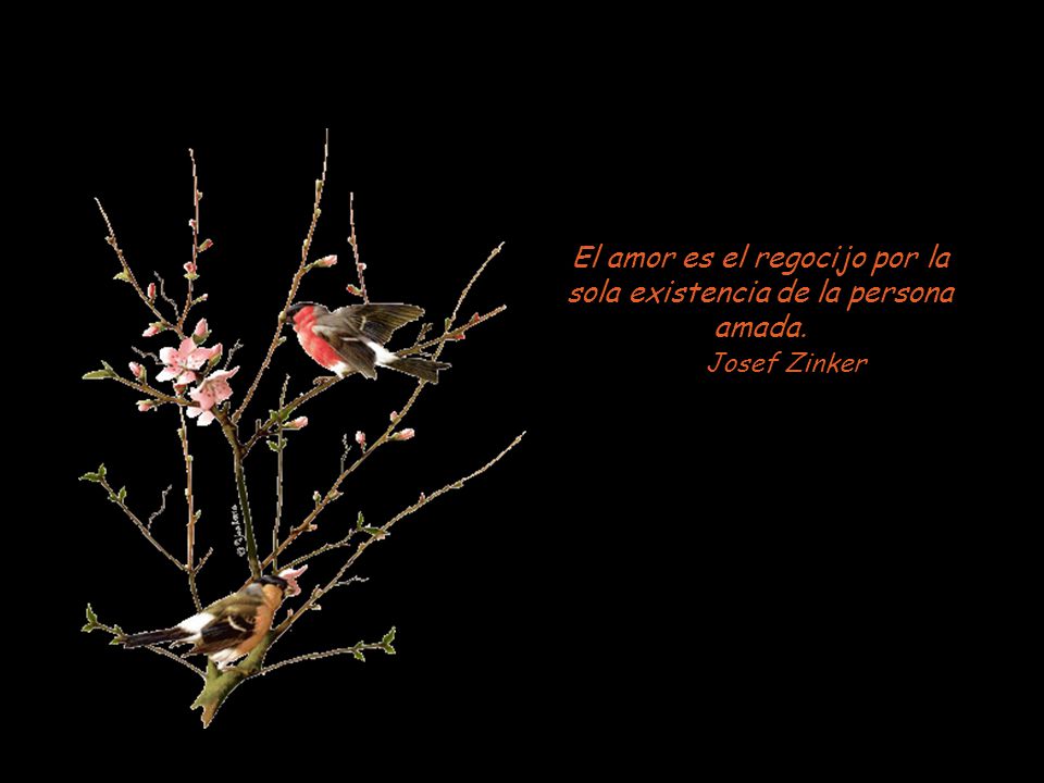 El amor es el regocijo por la sola existencia de la persona amada.
