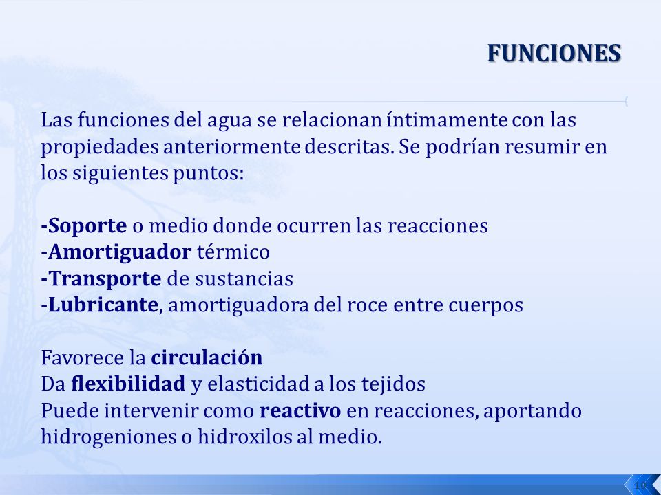 FUNCIONES Las funciones del agua se relacionan íntimamente con las propiedades anteriormente descritas. Se podrían resumir en los siguientes puntos:
