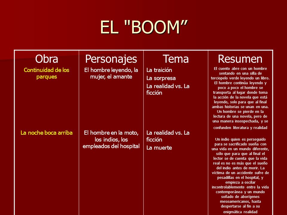 EL BOOM Obra Personajes Tema Resumen Continuidad de los parques