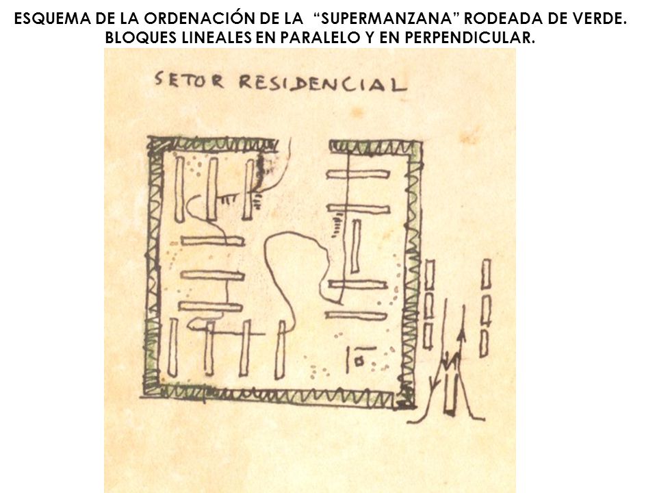 ESQUEMA DE LA ORDENACIÓN DE LA SUPERMANZANA RODEADA DE VERDE