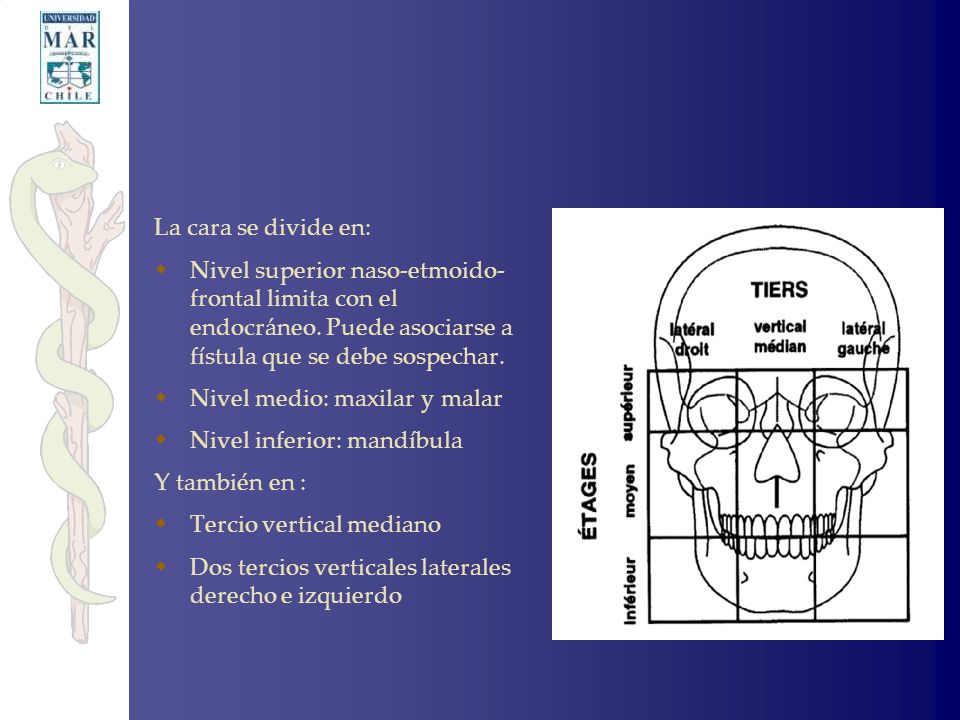 La cara se divide en: Nivel superior naso-etmoido- frontal limita con el endocráneo. Puede asociarse a fístula que se debe sospechar.