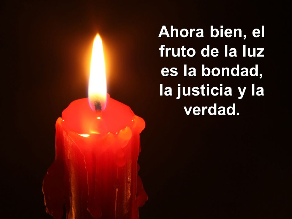 Ahora bien, el fruto de la luz es la bondad, la justicia y la verdad.