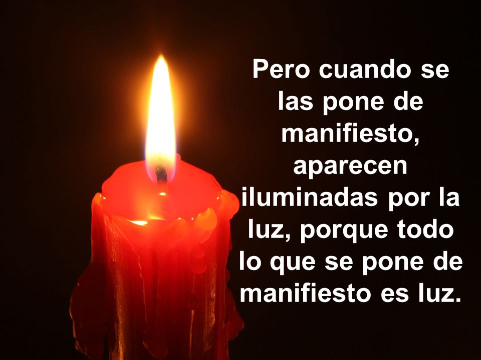 Pero cuando se las pone de manifiesto, aparecen iluminadas por la luz, porque todo lo que se pone de manifiesto es luz.
