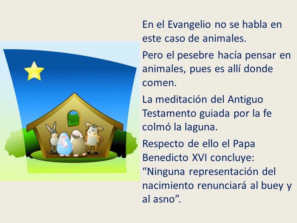 En el Evangelio no se habla en este caso de animales