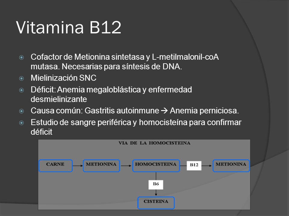Vitamina B12 Cofactor de Metionina sintetasa y L-metilmalonil-coA mutasa. Necesarias para síntesis de DNA.