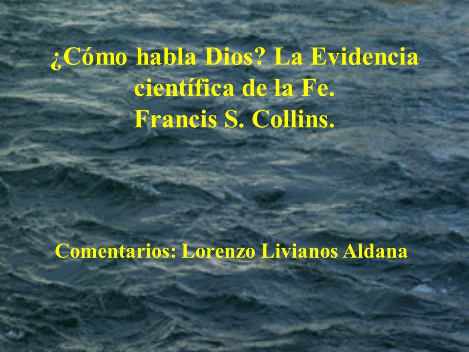 Comentarios: Lorenzo Livianos Aldana