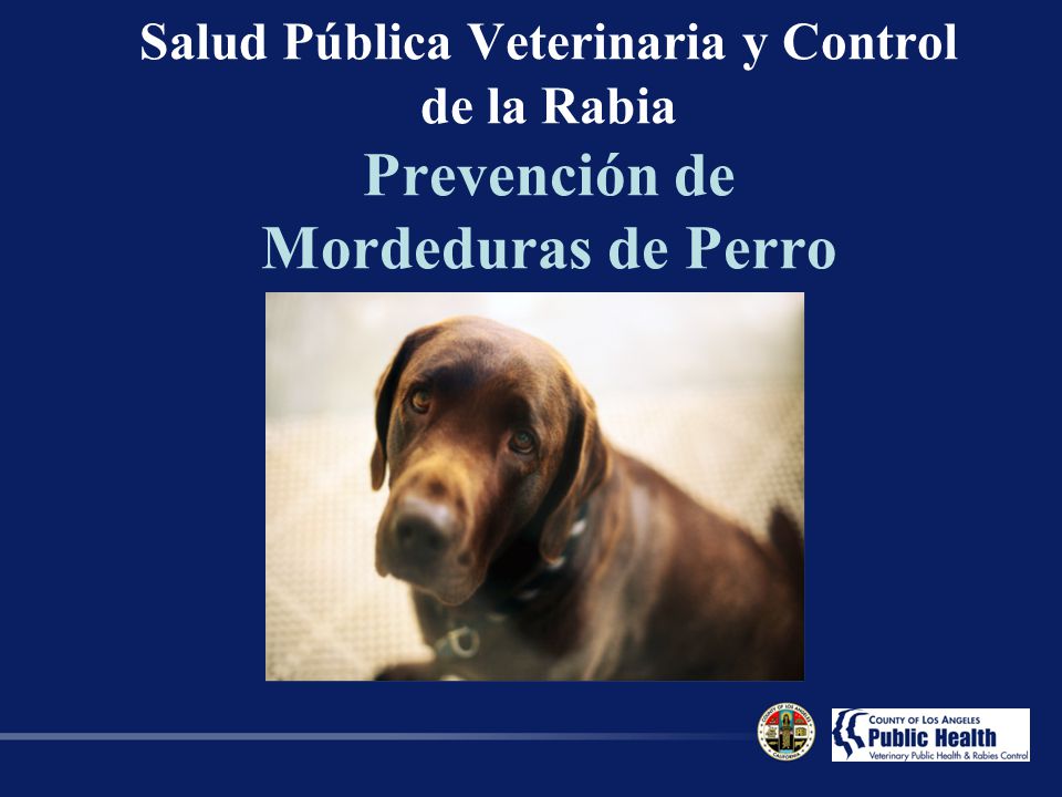 Salud Pública Veterinaria y Control de la Rabia Prevención de Mordeduras de Perro
