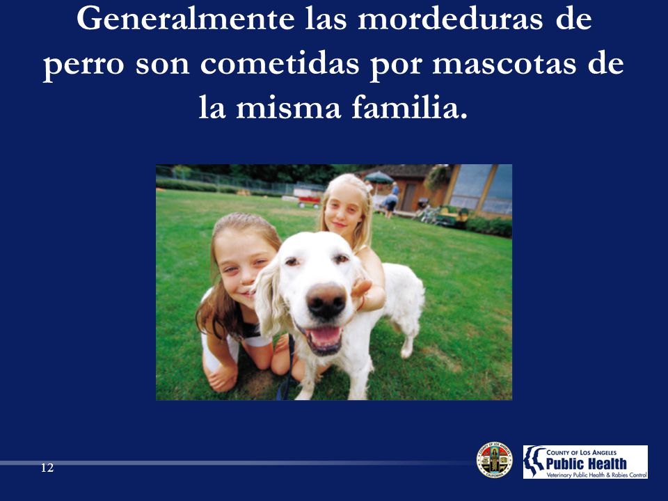 Generalmente las mordeduras de perro son cometidas por mascotas de la misma familia.