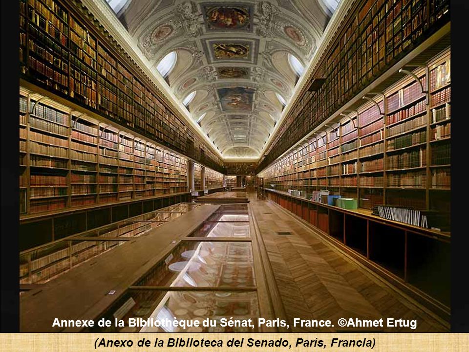 Annexe de la Bibliothèque du Sénat, Paris, France. ©Ahmet Ertug