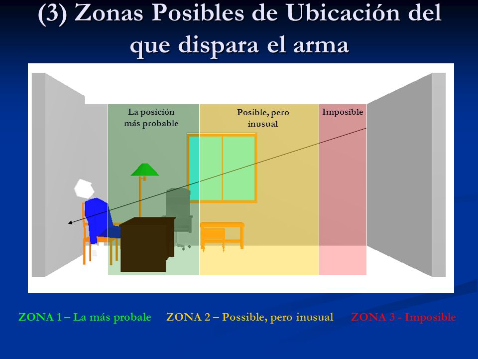 (3) Zonas Posibles de Ubicación del que dispara el arma