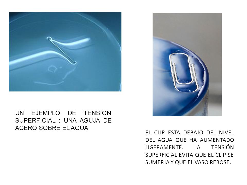 UN EJEMPLO DE TENSION SUPERFICIAL : UNA AGUJA DE ACERO SOBRE EL AGUA