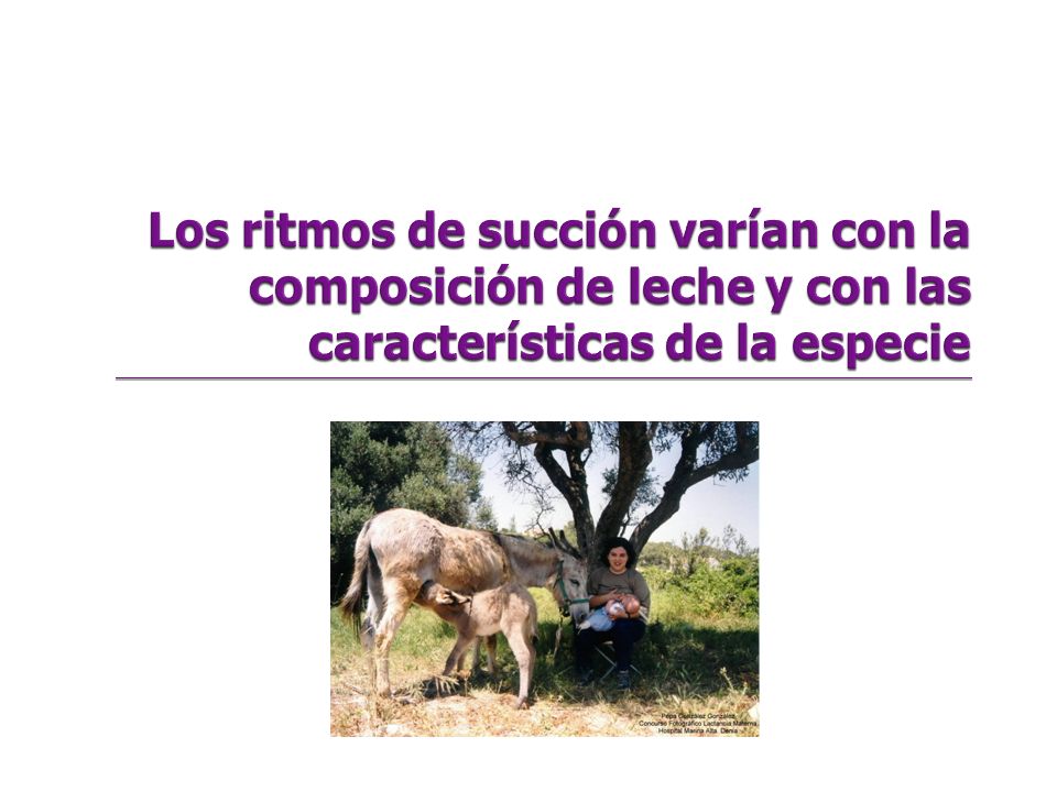Variación continua de la succión en respuesta a la intensidad del flujo de la leche Los ritmos de succión varían con la composición de leche y con las características de la especie