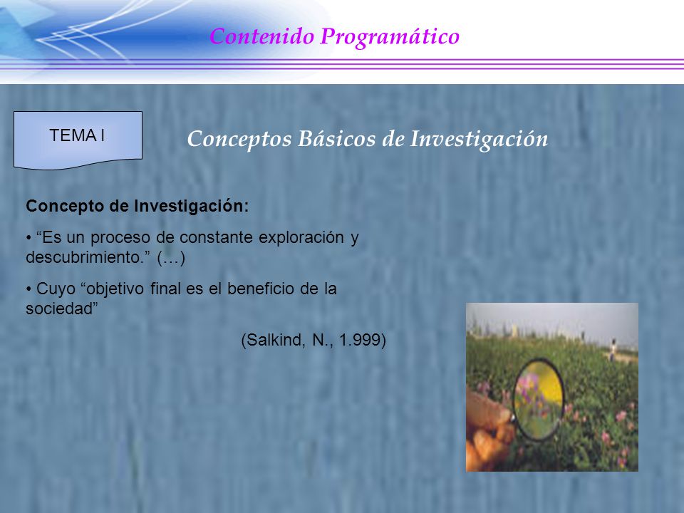 Contenido Programático