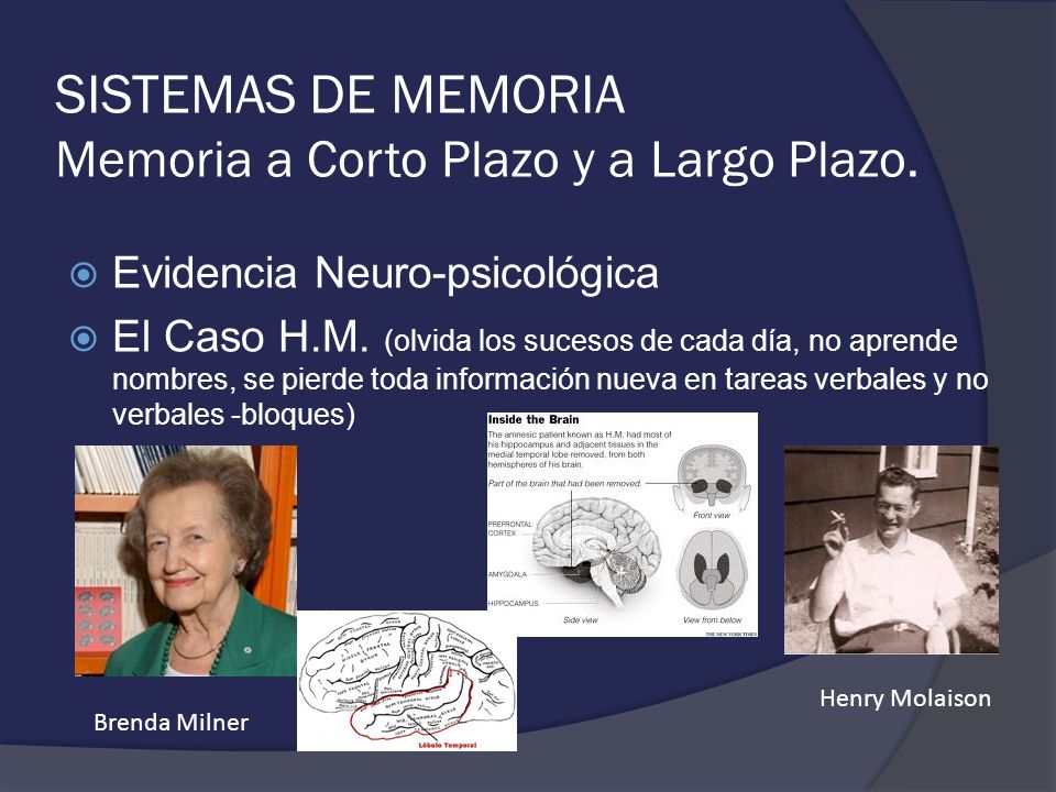 SISTEMAS DE MEMORIA Memoria a Corto Plazo y a Largo Plazo.