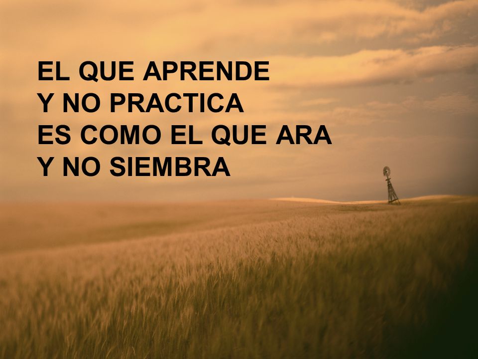 EL QUE APRENDE Y NO PRACTICA ES COMO EL QUE ARA Y NO SIEMBRA