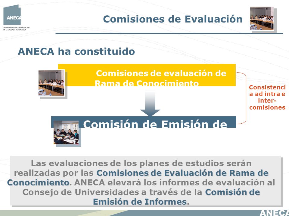 Comisiones de evaluación de Rama de Conocimiento