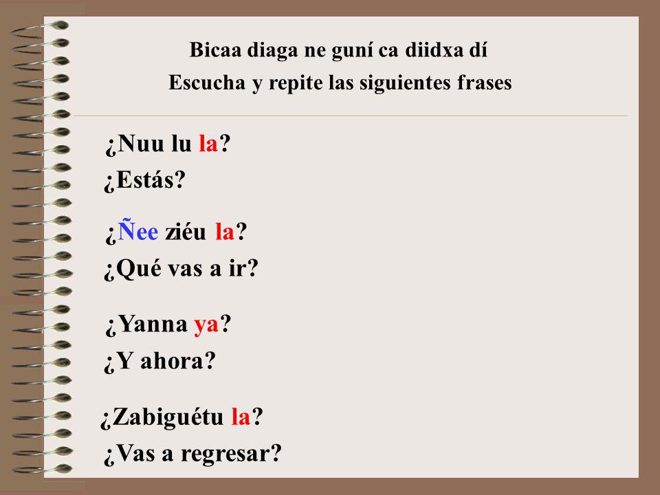 ¿Nuu lu la ¿Estás ¿Ñee ziéu la ¿Qué vas a ir ¿Yanna ya ¿Y ahora
