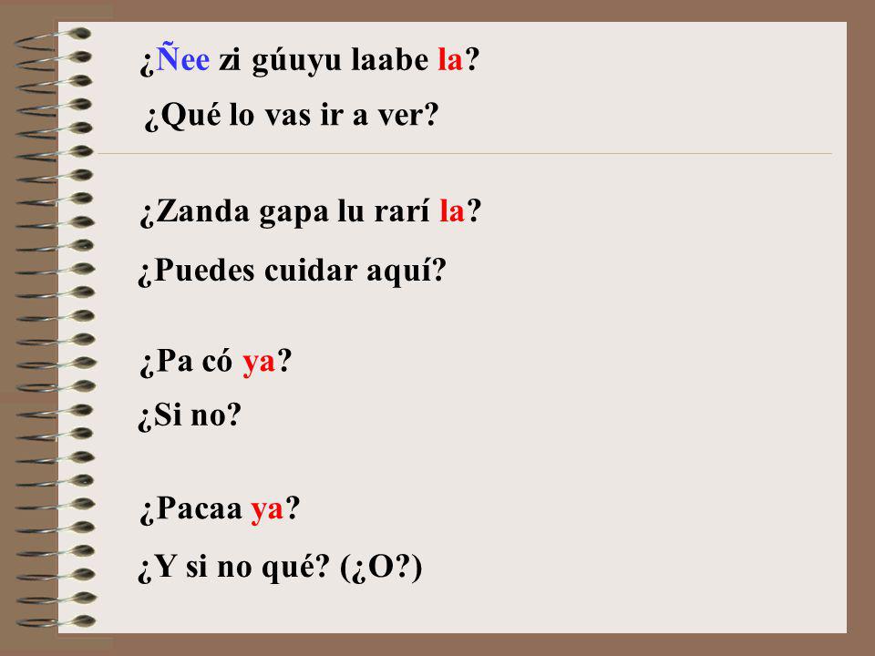¿Ñee zi gúuyu laabe la ¿Qué lo vas ir a ver ¿Zanda gapa lu rarí la ¿Puedes cuidar aquí ¿Pa có ya