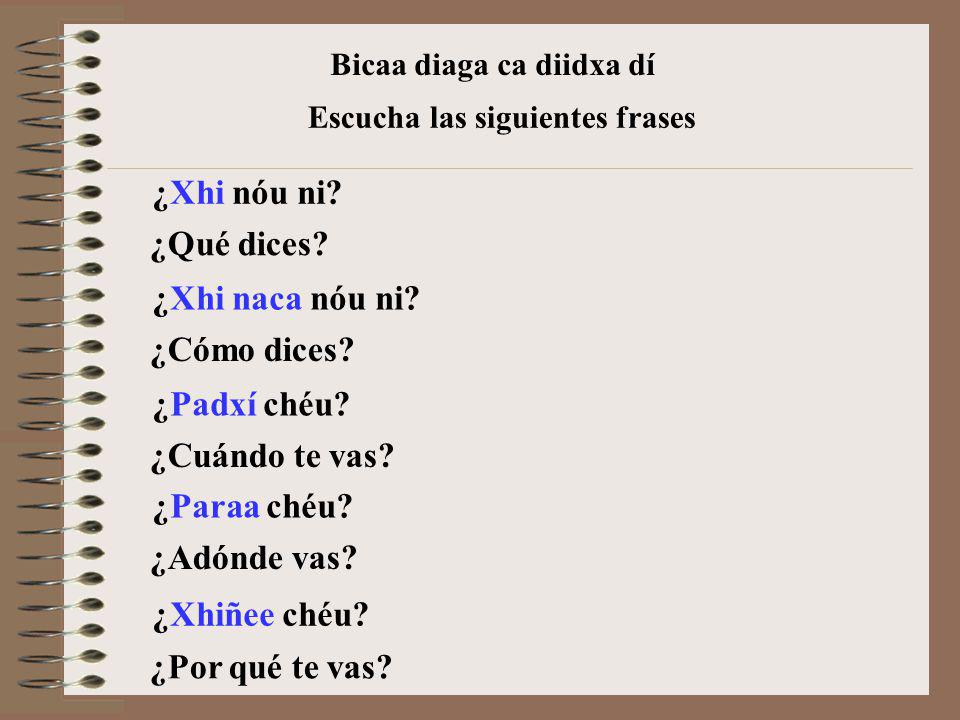 ¿Xhi nóu ni ¿Qué dices ¿Xhi naca nóu ni ¿Cómo dices ¿Padxí chéu