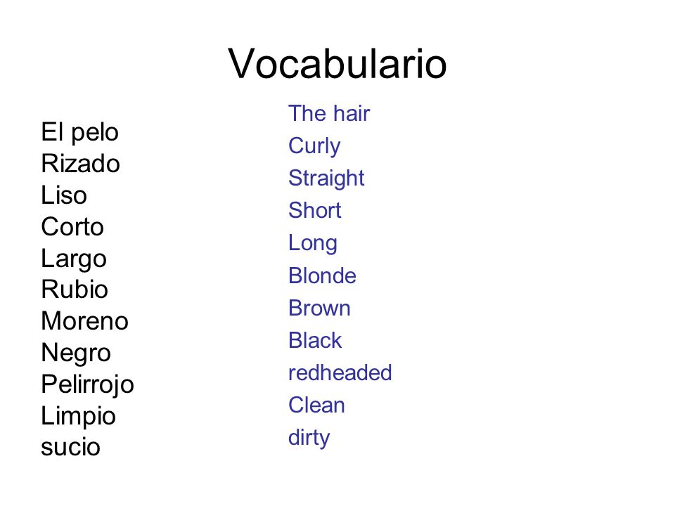 Vocabulario El pelo Rizado Liso Corto Largo Rubio Moreno Negro