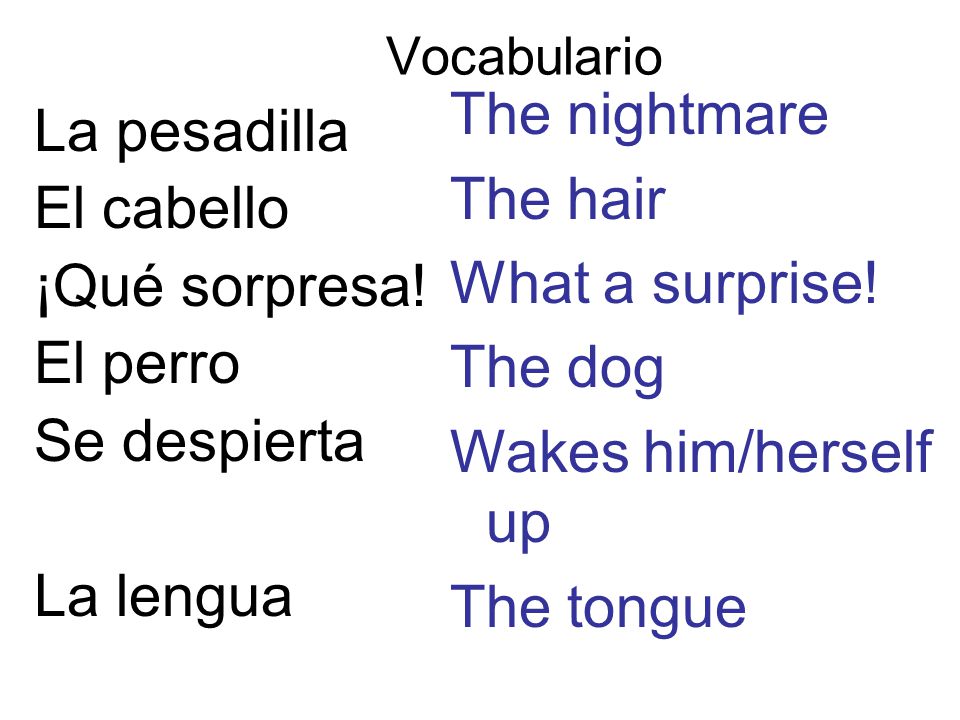 The nightmare La pesadilla The hair El cabello What a surprise!