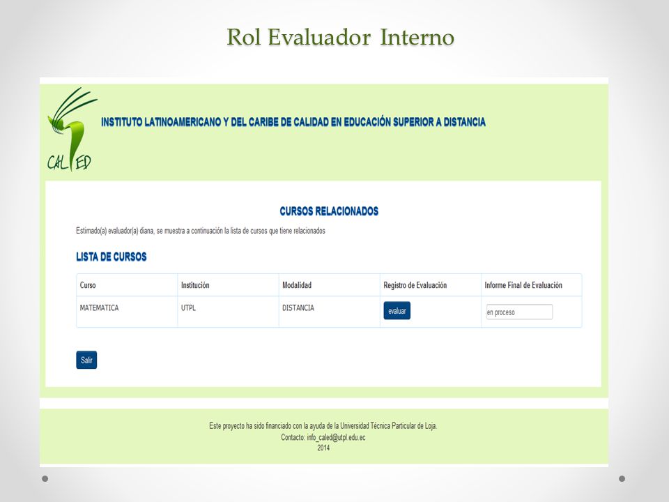 Rol Evaluador Interno So let’s look at the first category. The institutional support category addresses 8 areas.