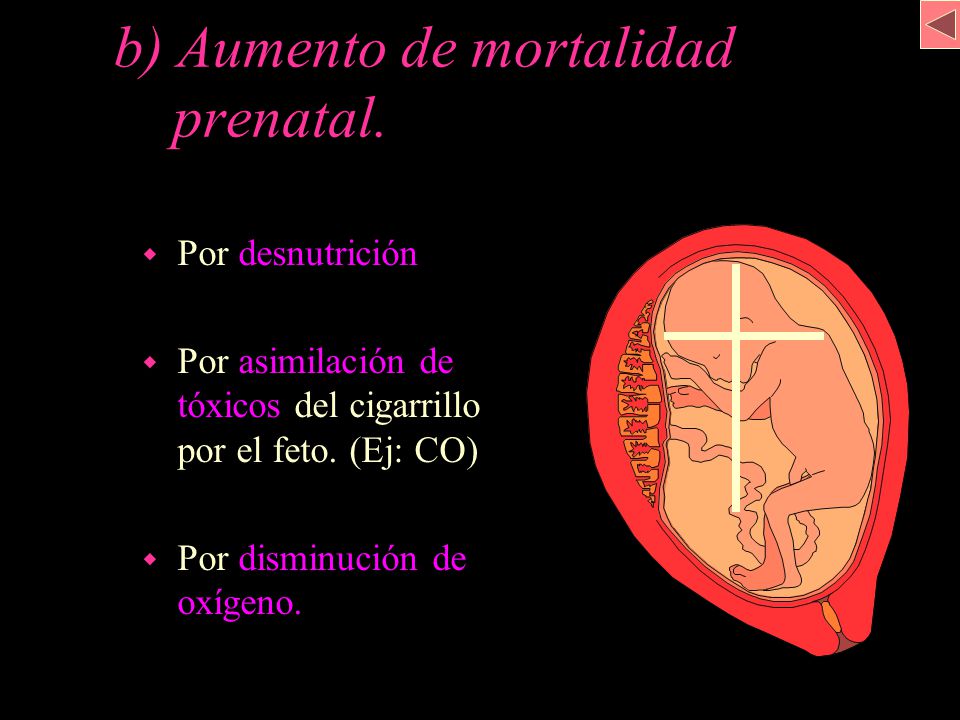 b) Aumento de mortalidad . prenatal.